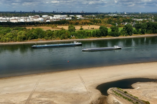 Parts of Germany's Rhine could become unnavigable, group warns