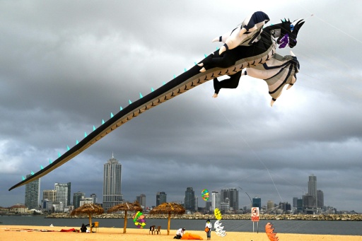 - Dragon -