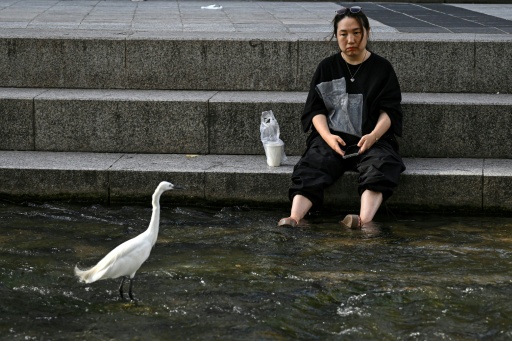 South Korea records its highest-ever temperature of 42.5C