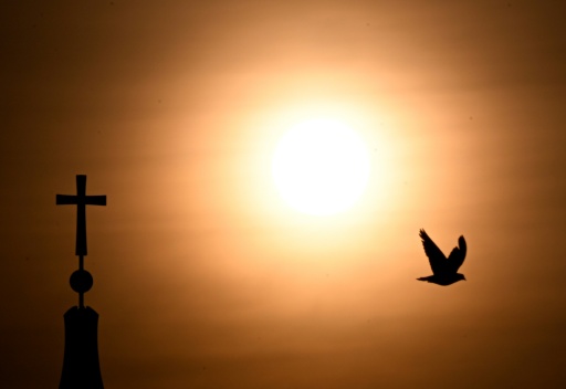 Europe also sweltered through a scorching summer this year, with prolonged heatwaves pushing temperatures above 40C in parts of the south — RALF HIRSCHBERGER / AFP