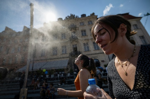 European authorities issued health warnings, battled wildfires and urged people to avoid outdoor activities during afternoons — Wojtek RADWANSKI / AFP