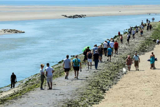 Des touristes viennent contempler des phoques dans la baie d'Authie, près de Berck-sur-Mer (Pas-de-Calais) le 26 mai 2026 — Francois LO PRESTI / AFP
