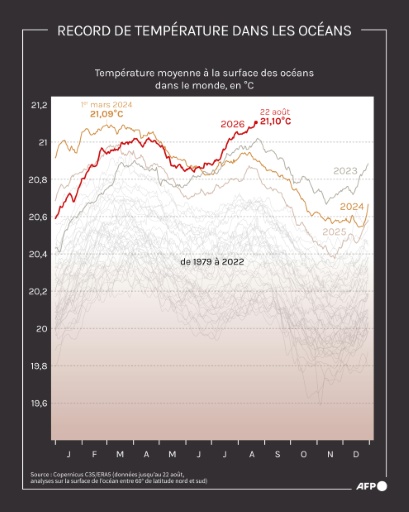 Température moyenne à la surface des océans, qui a atteint son record historique le 22 août en dépassant la précédente mesure de mars 2024, d'après le service de Copernicus dédié à l'étude du changement climatique (C3S) — Jonathan WALTER, Sophie RAMIS / AFP