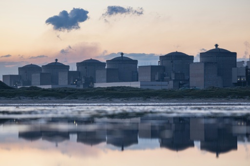 Jellyfish force shutdown of three reactors at French nuclear plant