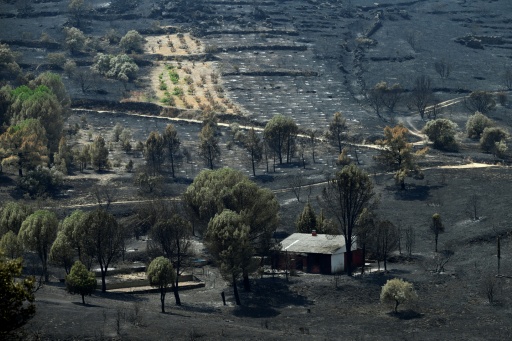Miles de evacuados por los incendios en España vuelven a sus casas