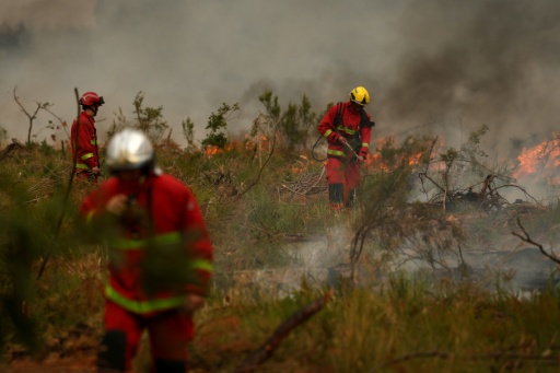 Brände in Frankreich: Flammen kommen bis 15 Kilometer an Großraum Bordeaux heran