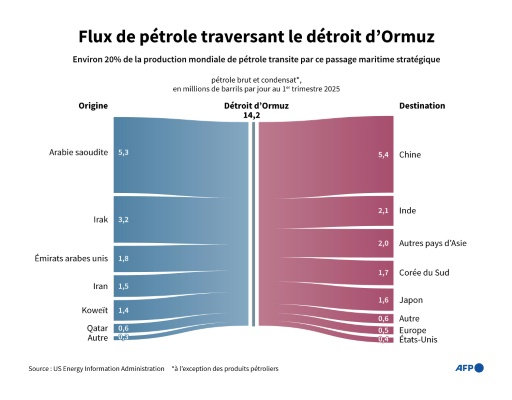 Flux de pétrole traversant le détroit d'Ormuz par pays d'origine et de destination pour le premier trimestre 2025, d'après les données de l'US Energy Information Administration