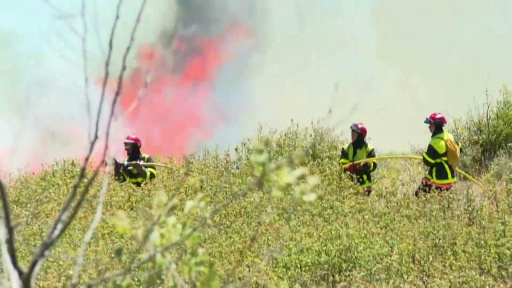Calor extremo alimenta incêndios florestais na Europa