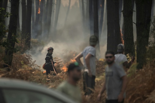 Unos bomberos y voluntarios batallan contra el fuego en un bosque en Lanton, en el suroeste de Francia, el 29 de julio de 2026 — Ed Jones / AFP