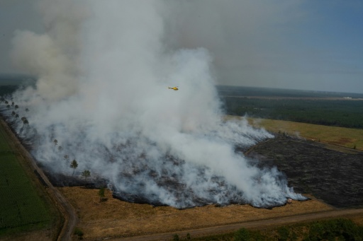 The fire near France's Bordeaux since last week have ravaged 42,000 hectares -- an area larger than the US city of Detroit — Baz Ratner / AFP