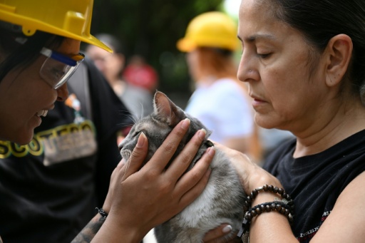 Vickye Giraldo (derecha) abraza a su gato Polux tras ser rescatado durante las labores de búsqueda de supervivientes tras el terremoto ocurrido en Cali, Colombia, el 12 de agosto de 2026. — Raul ARBOLEDA / AFP