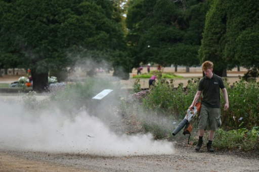 Gardeners at the historic site are worried about the long-term effects of hotter summers — JUSTIN TALLIS / AFP