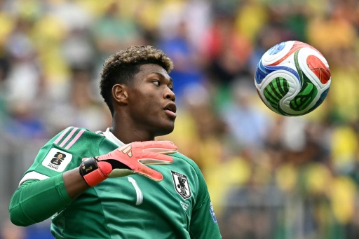 Racist abuse spurred Suzuki as Japan goalkeeper set for Premier League