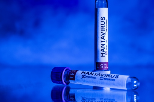 Hantavirus: isolement à domicile recommandé pour les contacts proches du touriste franco-argentin