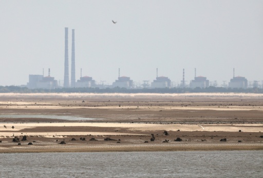 El OIEA califica de "inaceptable" la muerte de un ingeniero de una central nuclear de Ucrania