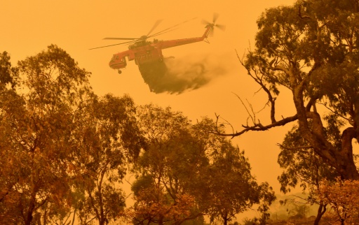 What Europe can learn from Australia's 'Black Summer' wildfires