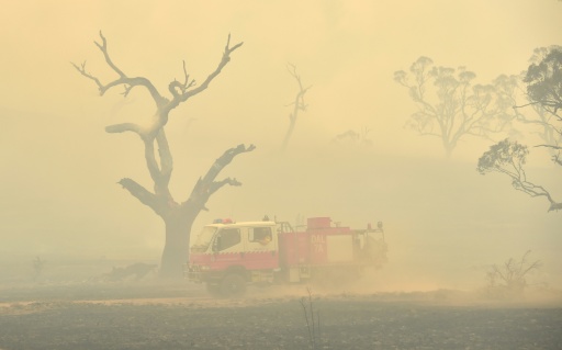 Firefighters fight a bushfire burning near the town of Bumbalong, south of Canberra on February 2, 2020 — PETER PARKS / AFP