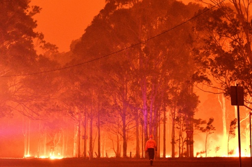 A firefighter walks past burning trees during a battle against bushfires around the town of Nowra in the Australian state of New South Wales on December 31, 2019 — SAEED KHAN / AFP