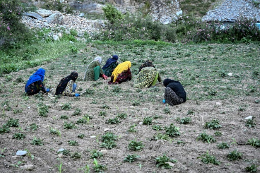 فخر المزارعات الأفغانيات في جبال نورستان