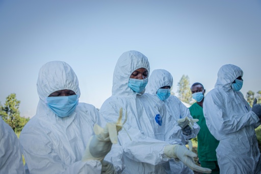 Ebola is spread by contact with bodily fluids and causes a haemorrhagic fever — Benediction MURHABAZI / AFP