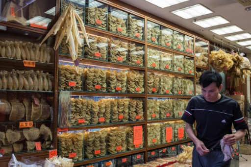 Dried shark fins and fish maws are sold in a shop in Hong Kong in March 2016 — Anthony WALLACE / AFP