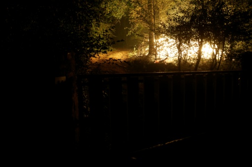 Incêndio devasta a floresta de Fontainebleau