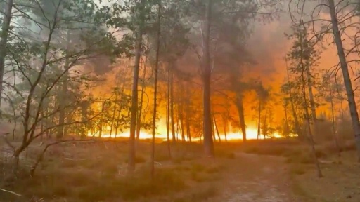 Incêndio devasta a floresta de Fontainebleau
