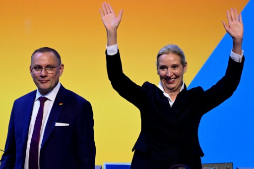 AfD-Doppelspitze im Amt bestätigt - Weidel mit mehr Stimmen als Chrupalla