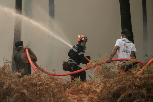 Des pompiers et des volontaires luttent contre le feu de forêt à Lanton le 29 juillet 2026 — Ed JONES / AFP