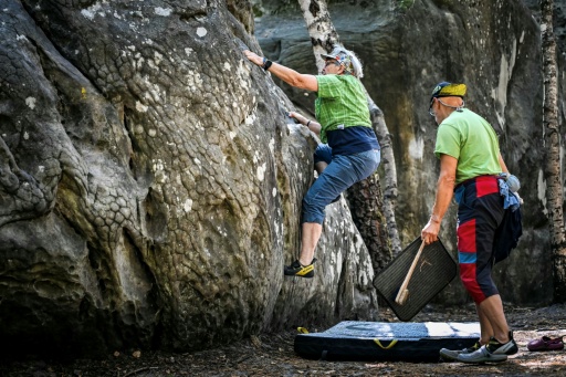 La forêt de Fontainebleau rouvre, les grimpeurs renouent avec leurs "bonnes vieilles habitudes"