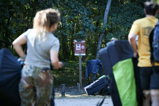 Des visiteurs devant un panneau "Tous feux interdits" au premier jour de la réouverture au public de la forêt de Fontainebleau partiellement dévastée par les flammes en juillet, le 22 août 2026 près de Arbonne-la-forêt, en Seine-et-Marne — Lou BENOIST / AFP