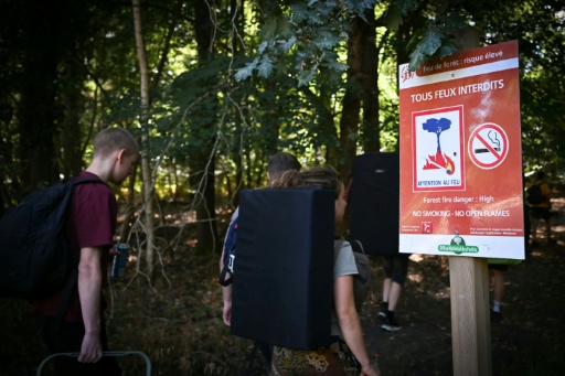 Des randonneurs passent devant devant un panneau "Tous feux interdits" au premier jour de la réouverture au public de la forêt de Fontainebleau partiellement dévastée par les flammes en juillet, le 22 août 2026 près d'Avon, en Seine-et-Marne — Lou BENOIST / AFP