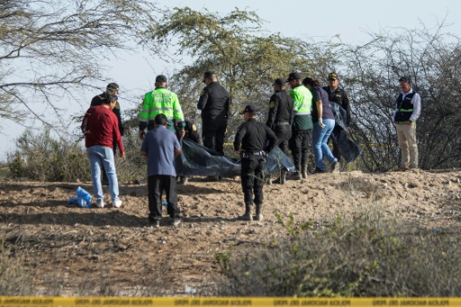Trece muertos al caer avioneta con turistas cerca de Líneas de Nasca en el sur de Perú