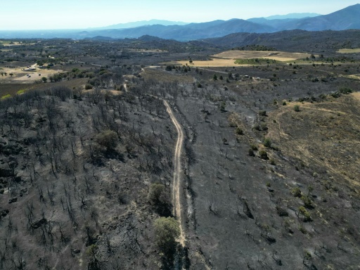Vue aérienne d'une zone dévastée par des incendies près de Montalba-le-Château, dans les Pyrénées-Orientales, le 7 juillet 2026