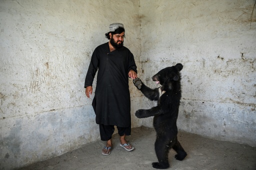 Afghanistan