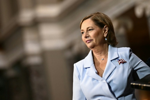 Rivals have attacked Darline Graham's lack of political experience — Kent NISHIMURA / AFP