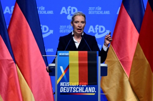 Co-leader Alice Weidel said the AfD was the 'new people's party in Germany'