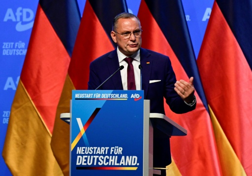 Co-leader of the far-right AfD Tino Chrupalla was re-elected at the party's congress