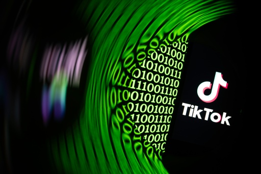 Protection des enfants: Londres ouvre une enquête sur TikTok