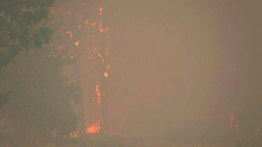 Gironde: incendie d'une grande virulence à Lège-Cap-Ferret — Camille CASSOU / AFP
