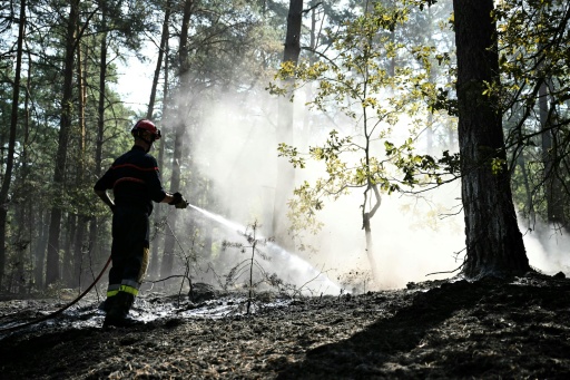 Waldbrand