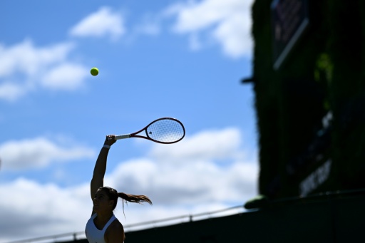 Planeta tenis