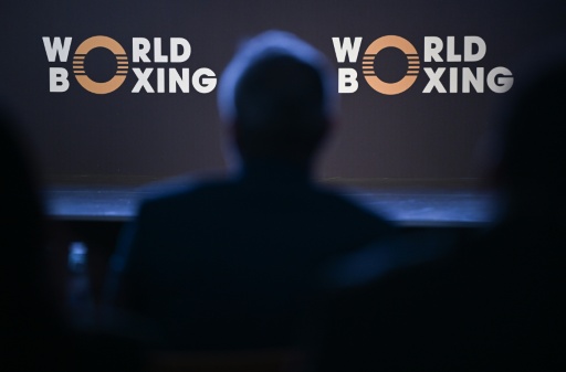 World Boxing: Russen wieder unter eigener Flagge