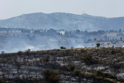 Près de la ville d'Albendiego, dans la province de Guadalajara, le 22 juillet 2026 — Pierre-Philippe MARCOU / AFP