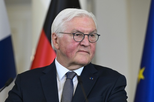 SPD besteht bei Steinmeier-Nachfolge auf Nominierung einer Frau