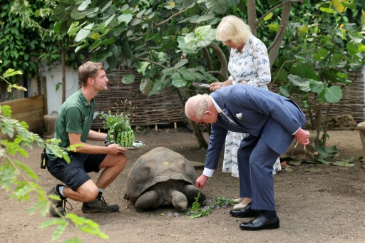 King in shades braves heat to visit London zoo