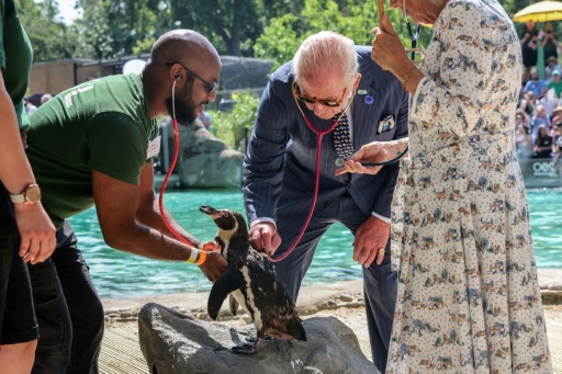 The royal couple also gave the penguins a health check