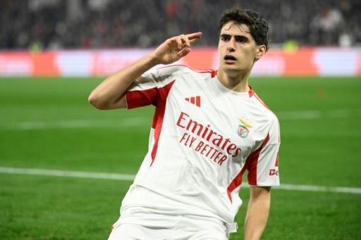 Bournemouth sign Portugal defender Silva from Benfica