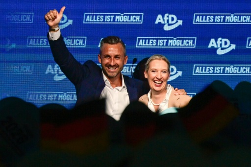 Bericht: AfD-Politik träfe Menschen in AfD-Hochburgen besonders hart