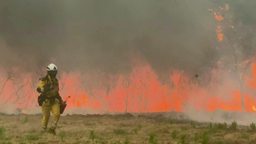 Incendie en Gironde: des pompiers de Paris en renfort